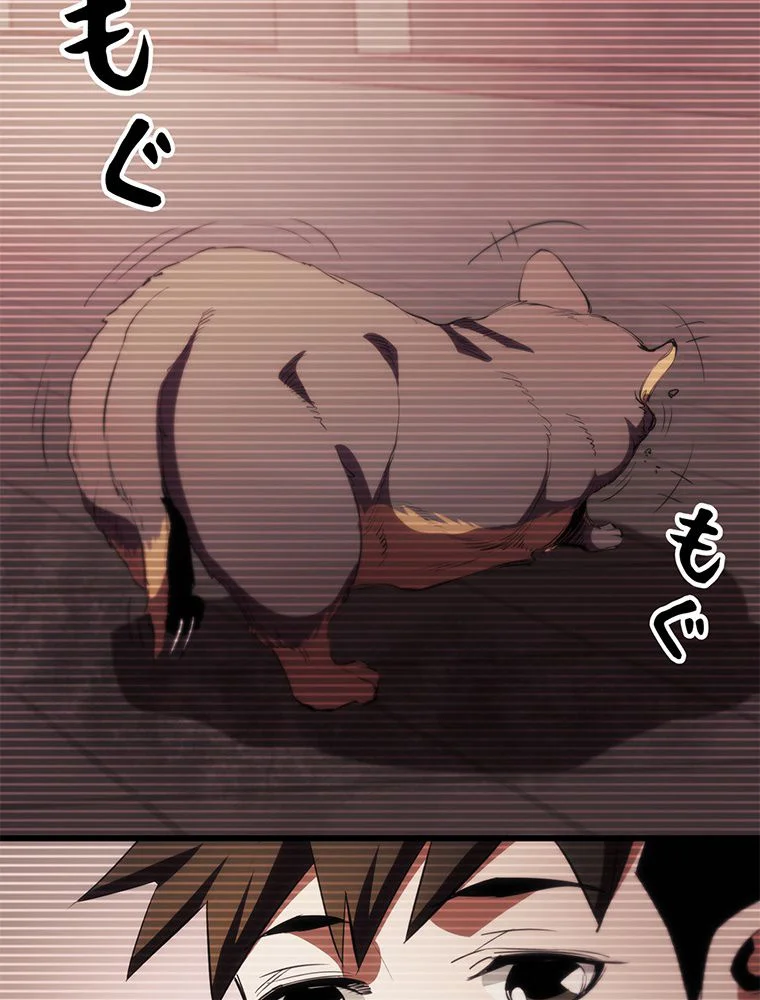 P63