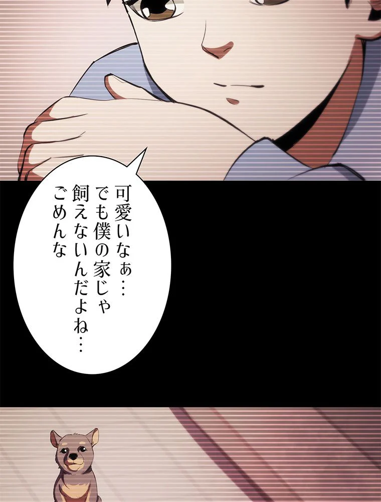 P64