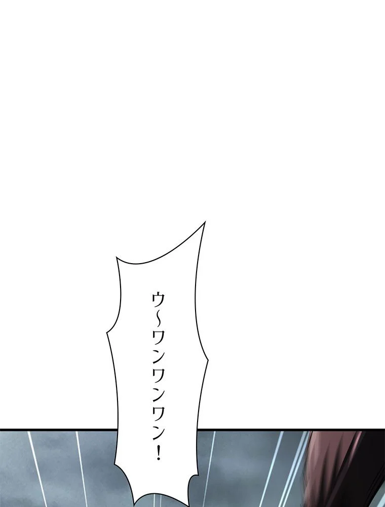 P53