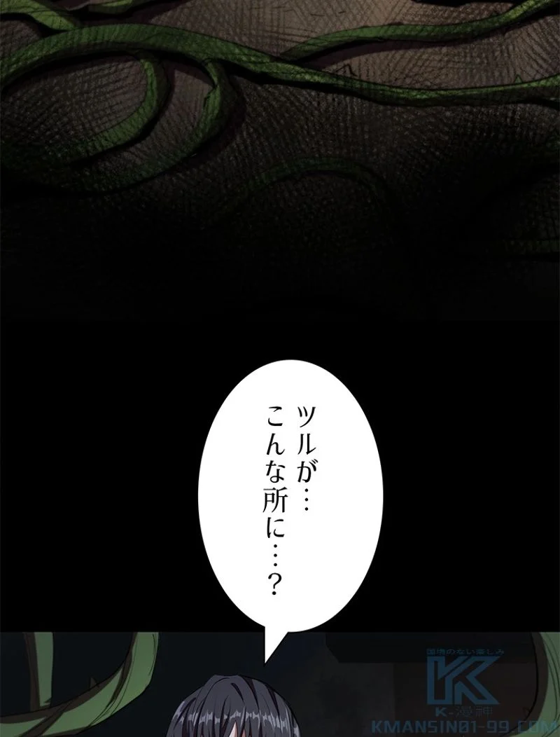 P58