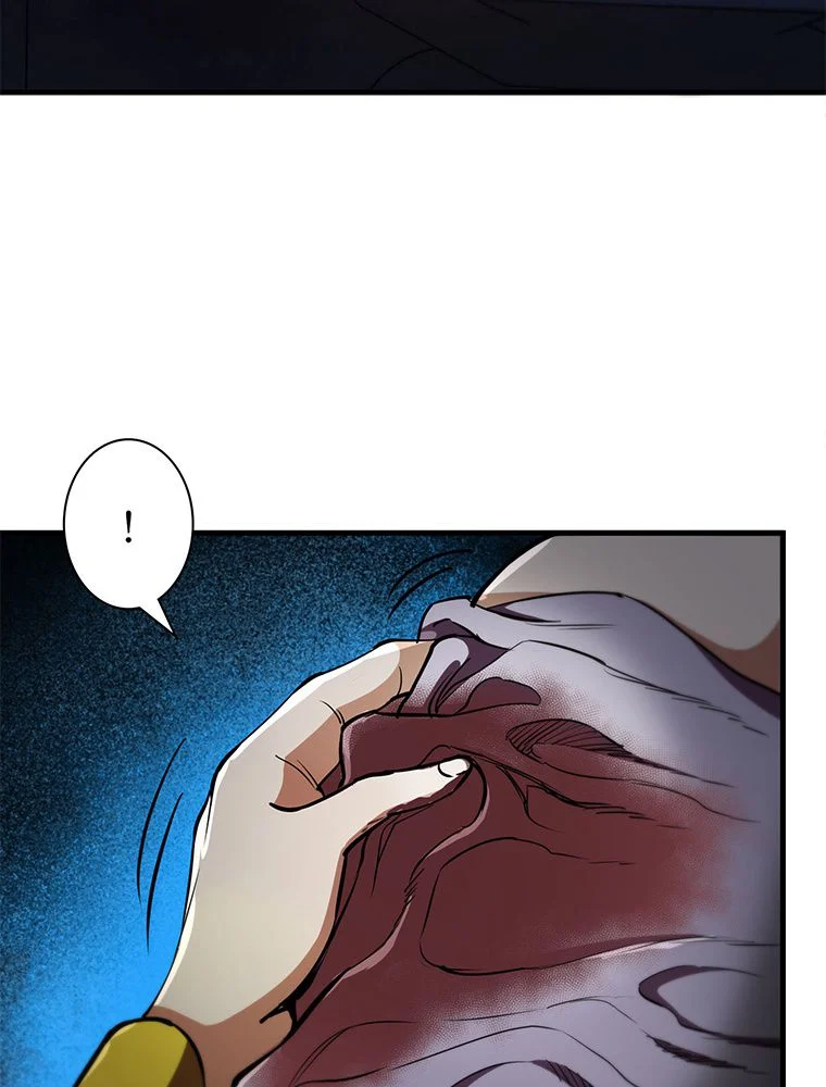 P63
