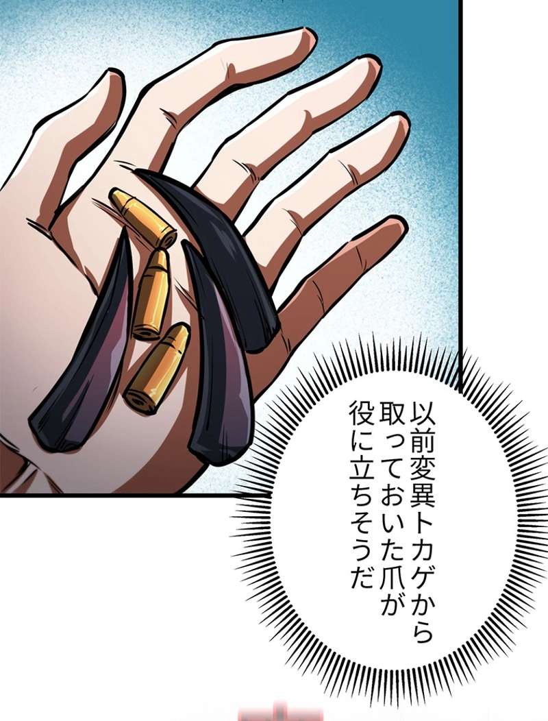 P63