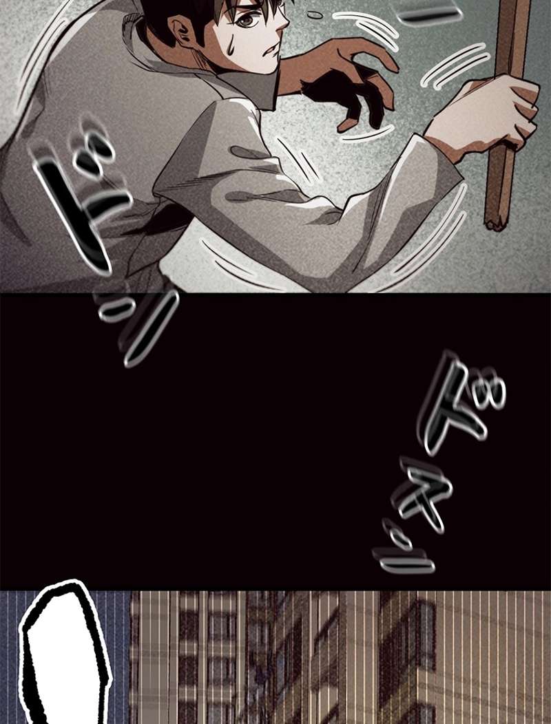 P53