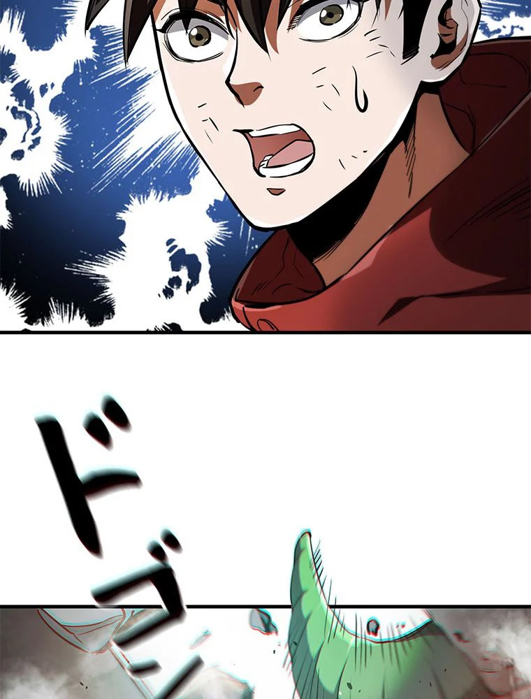 P66