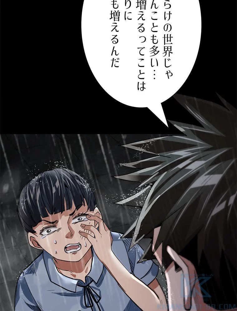 P53