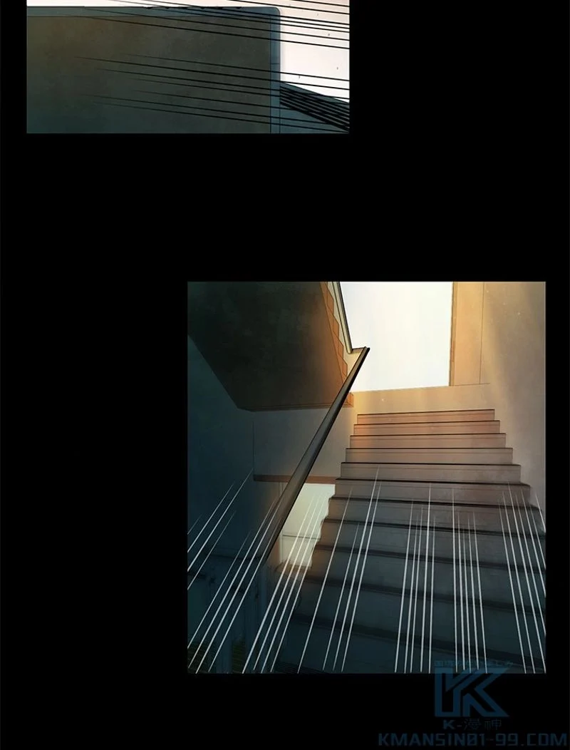 P61