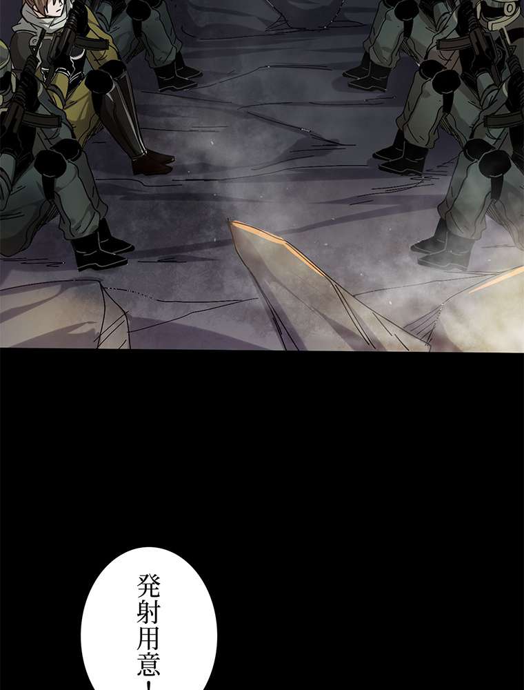 P53