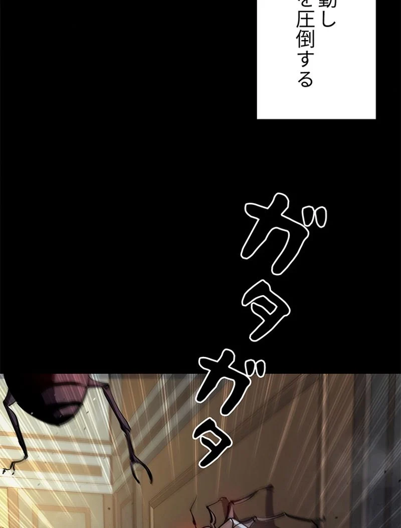 P53