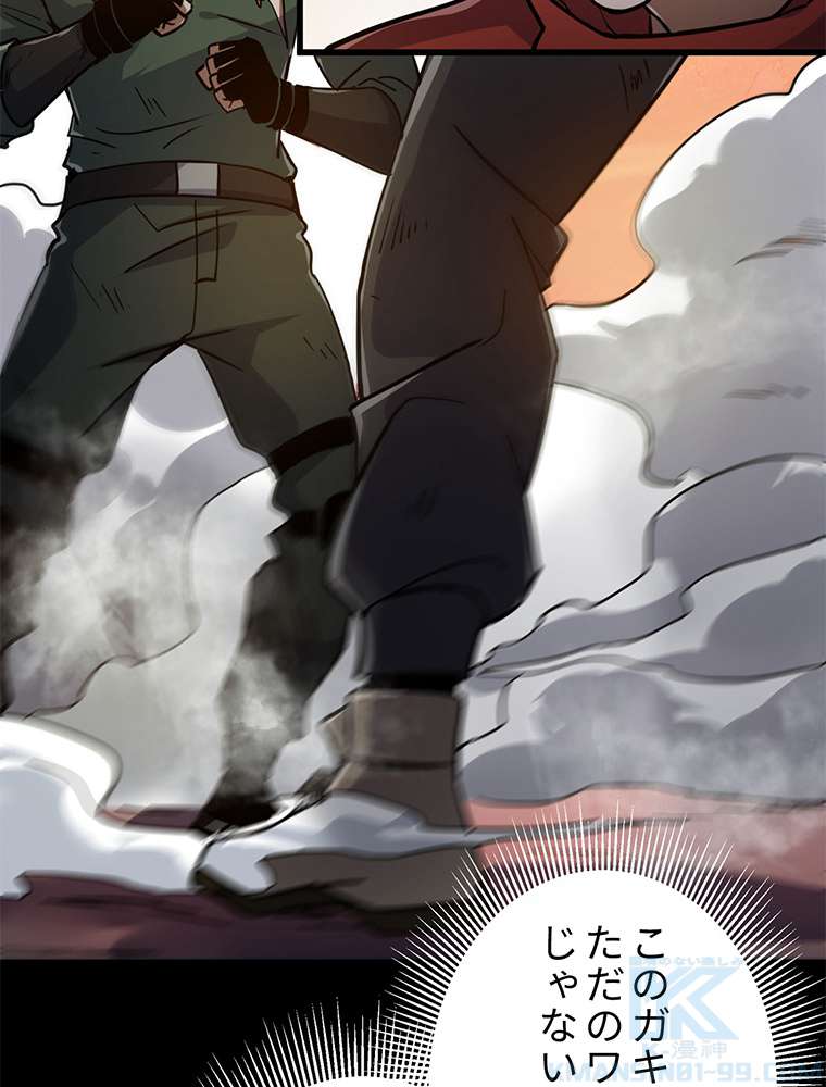 P61