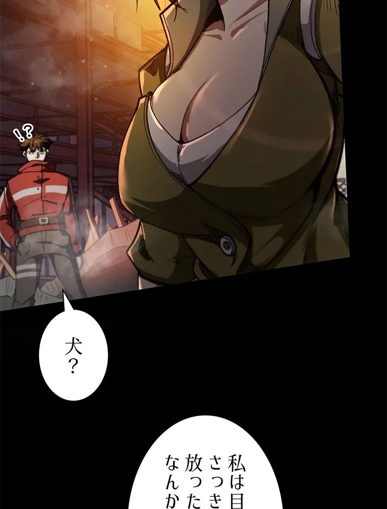 P66
