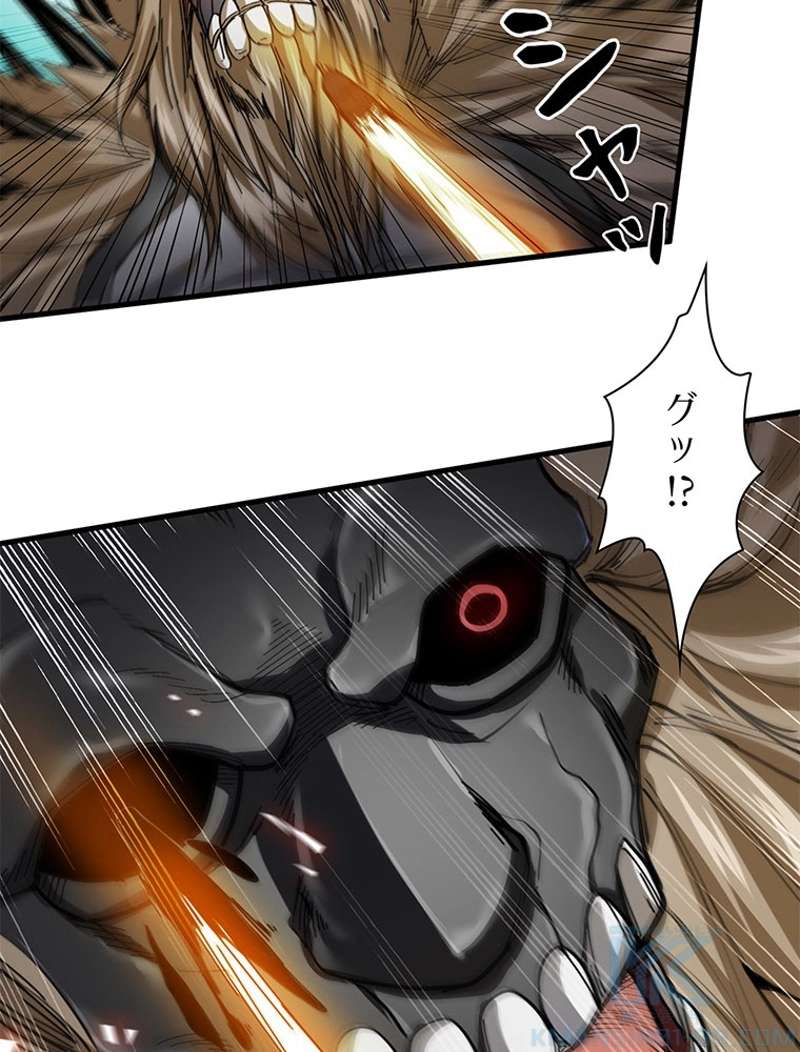 P40
