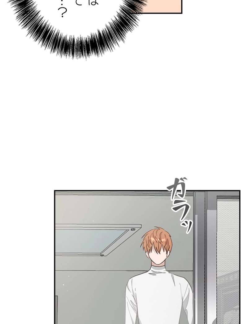 P53