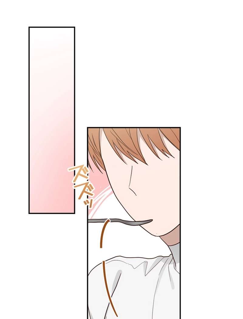 P66