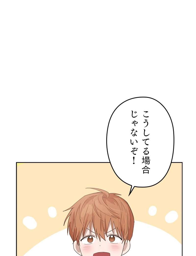 P63
