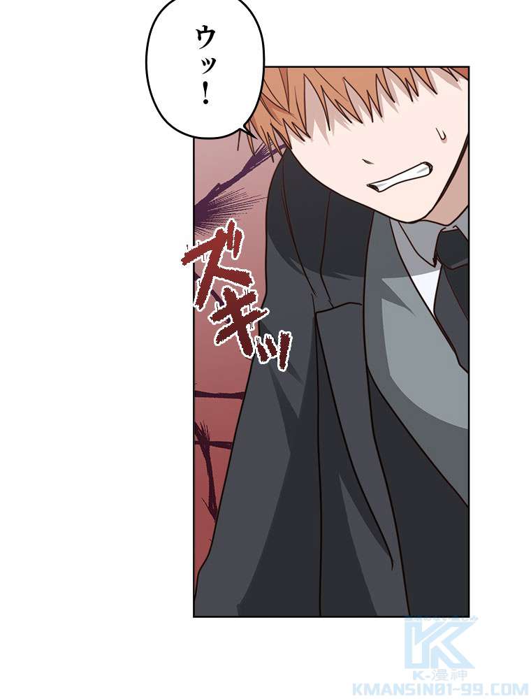 P61