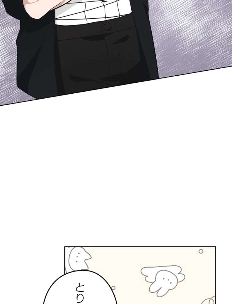 P63