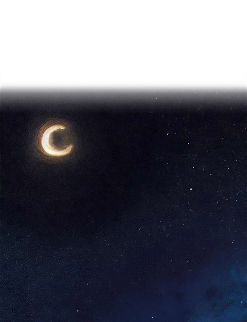 P63