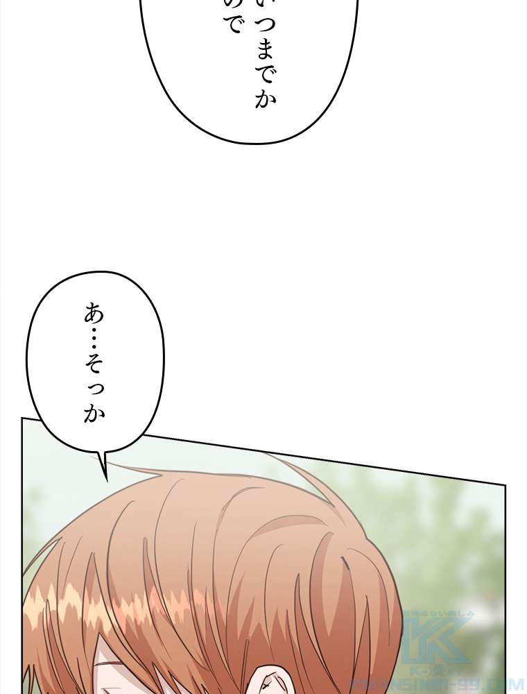 P61