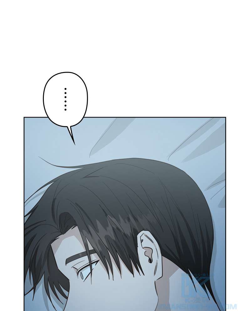 P61