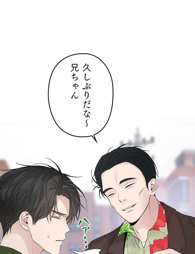 P66