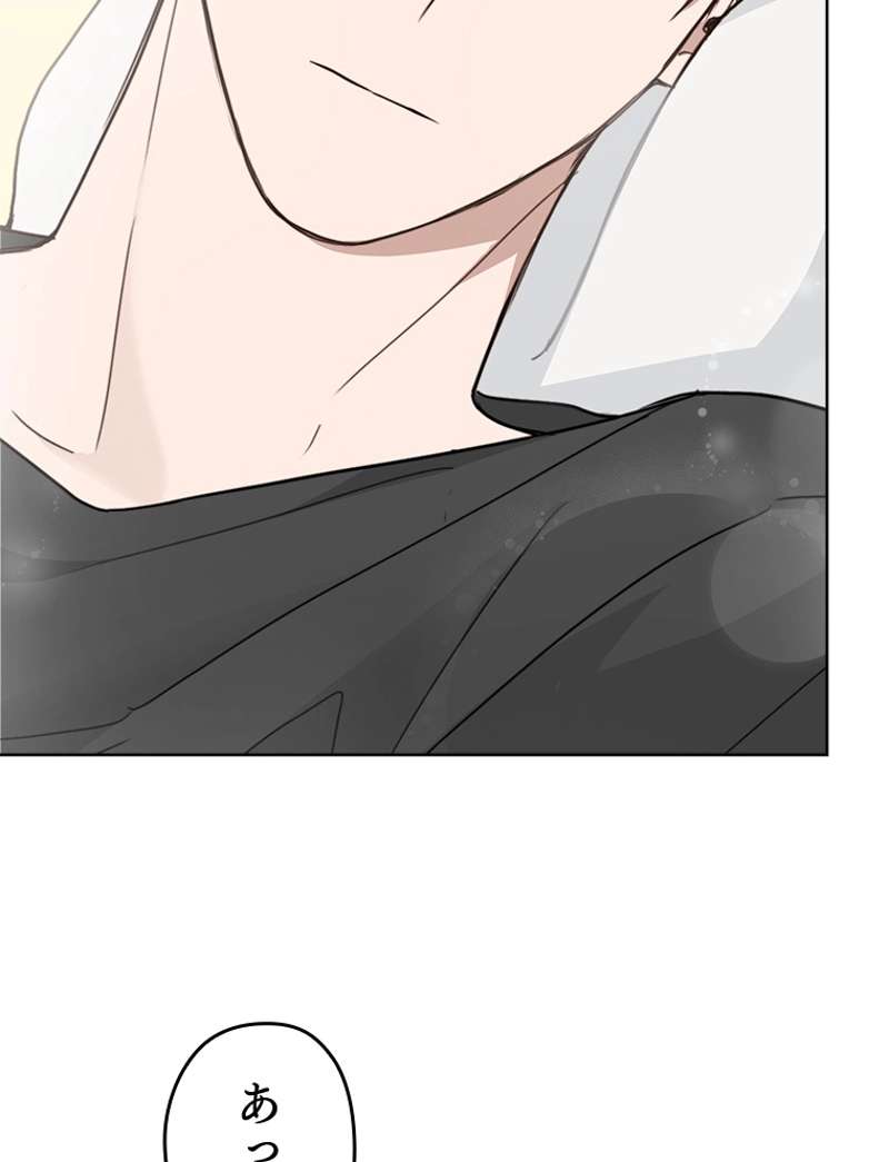 P44