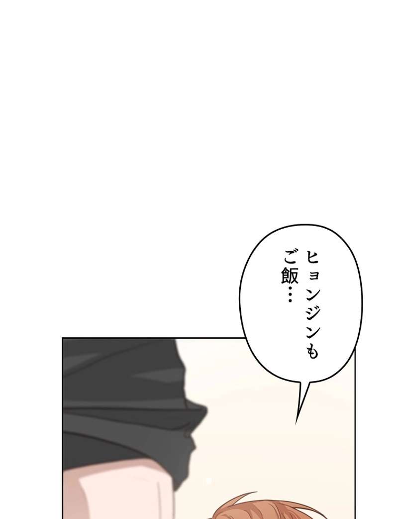 P53
