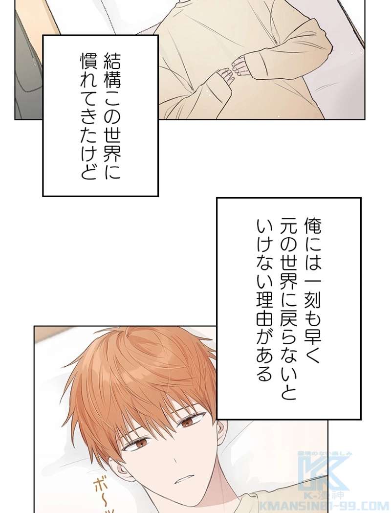 P61