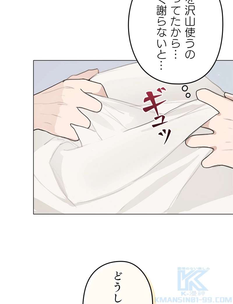P61