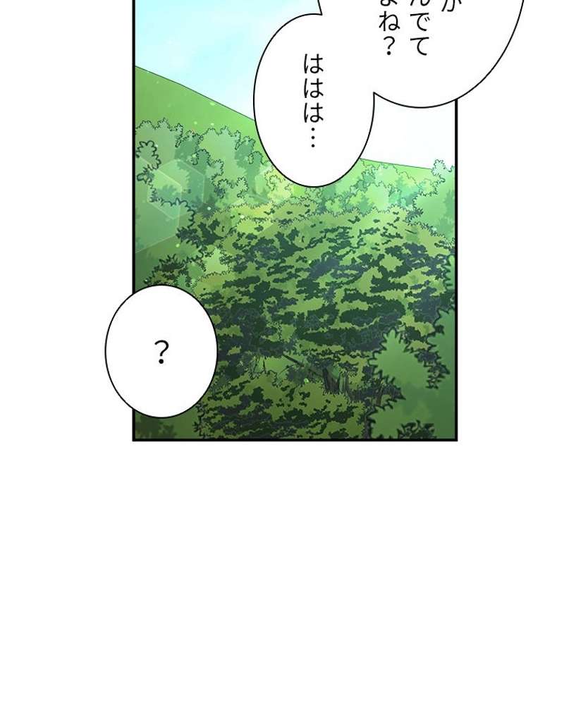 P66