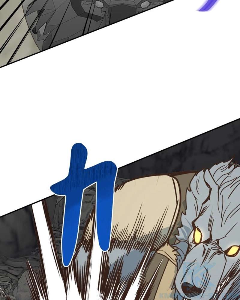 P55