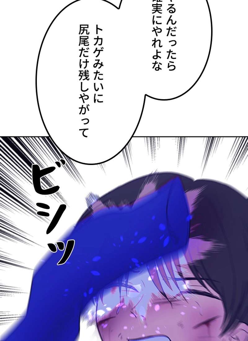 P210