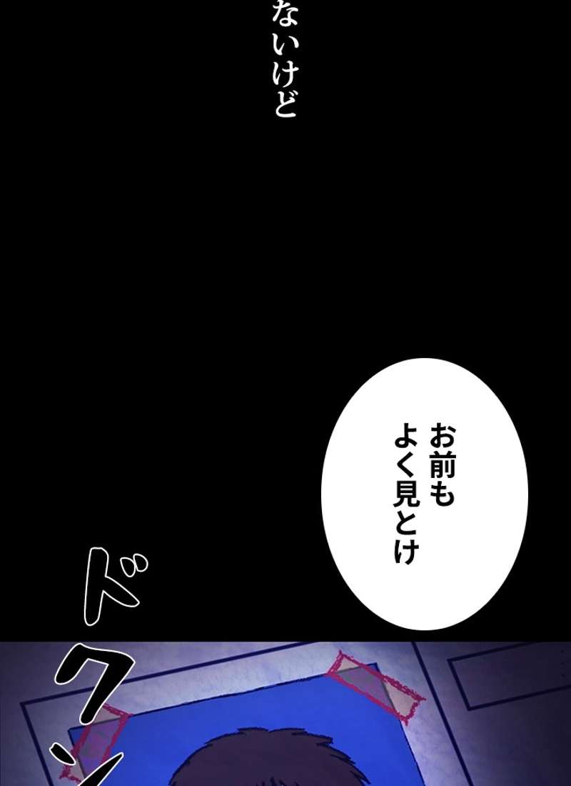 P113
