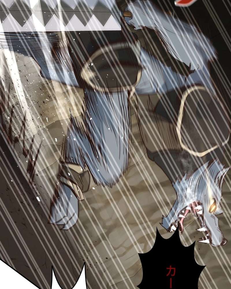 P53