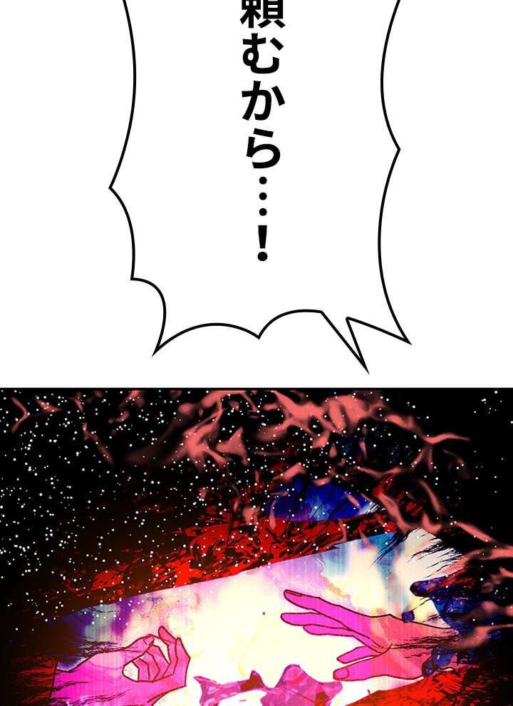 P113