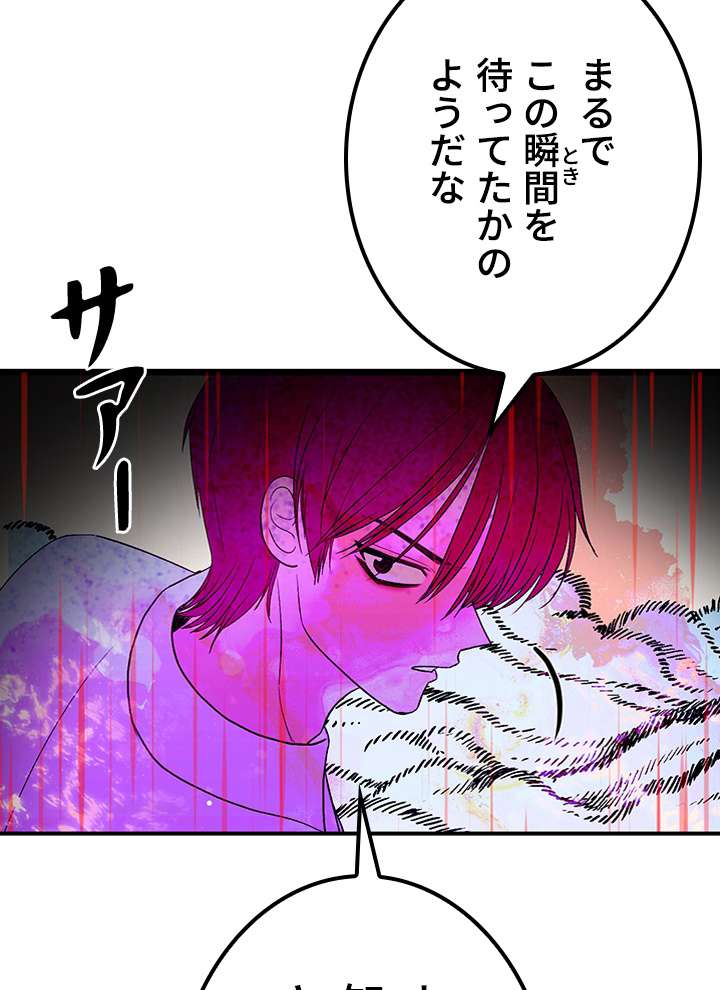 P66