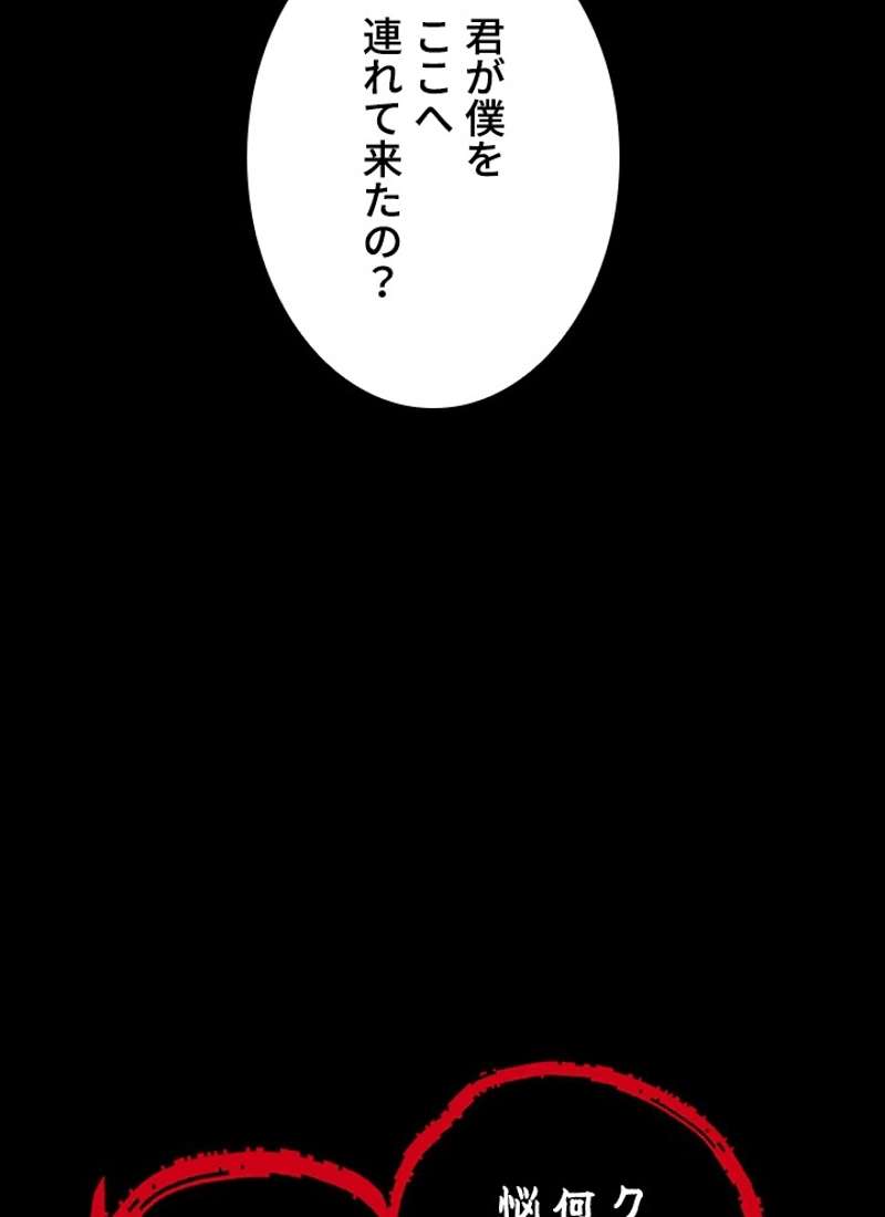 P113