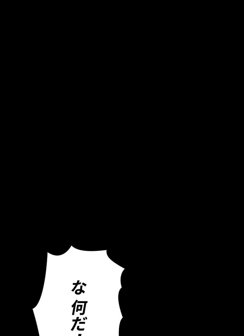 P66