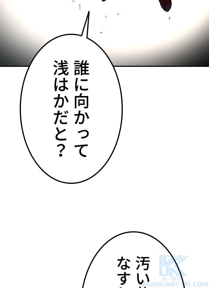 P133