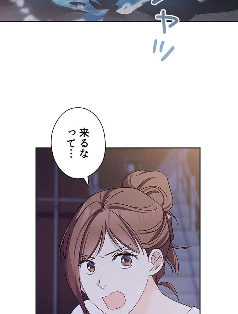 P66