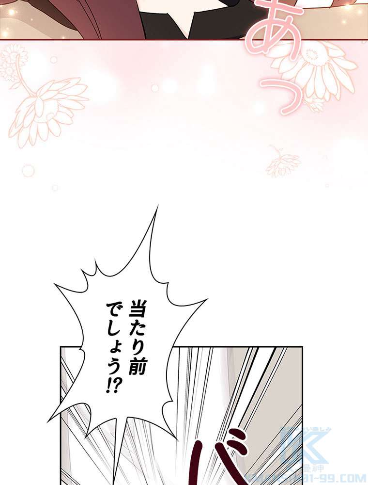 P58