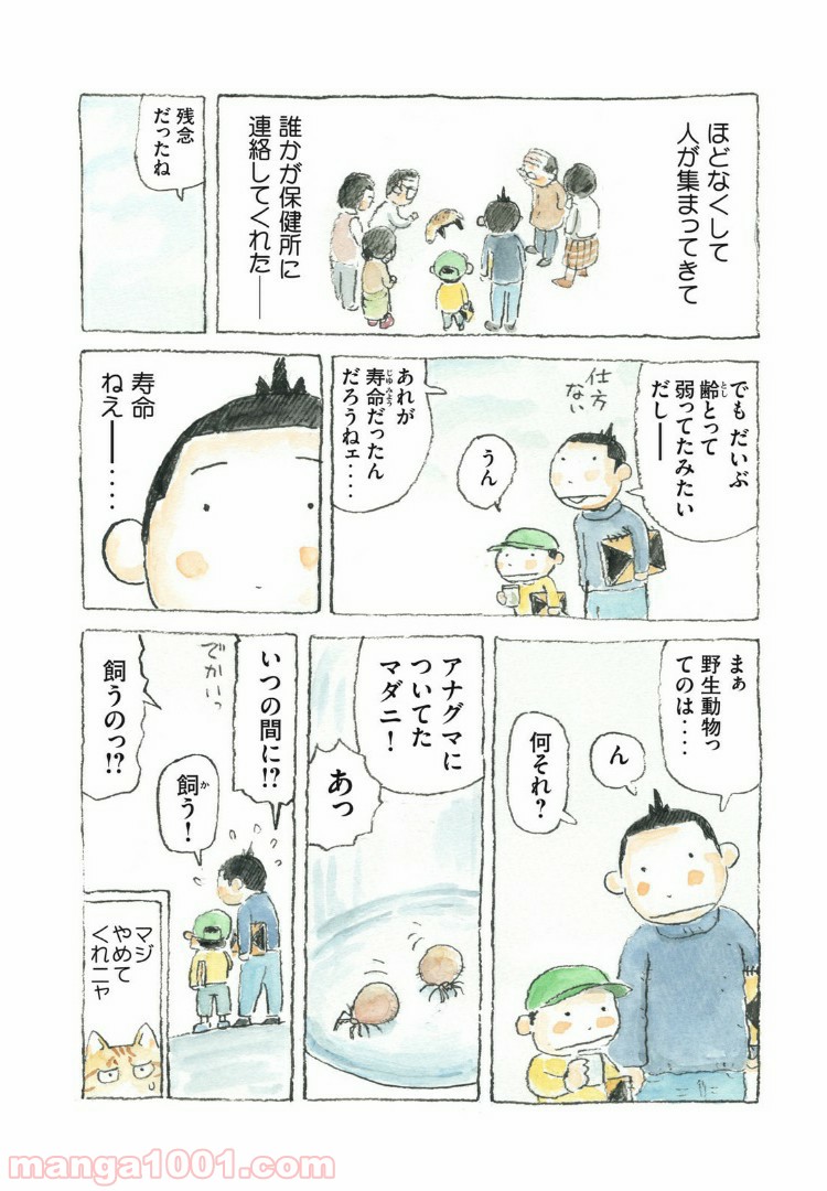 P8