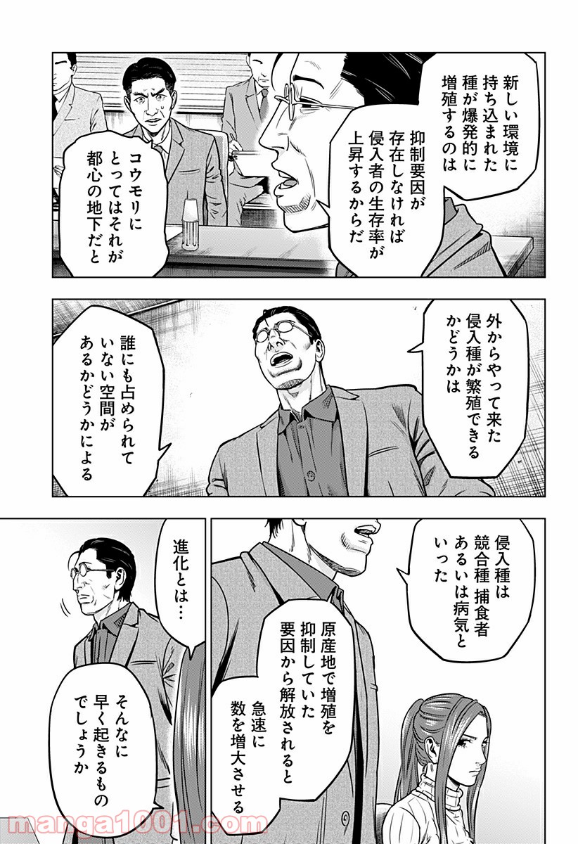 P13
