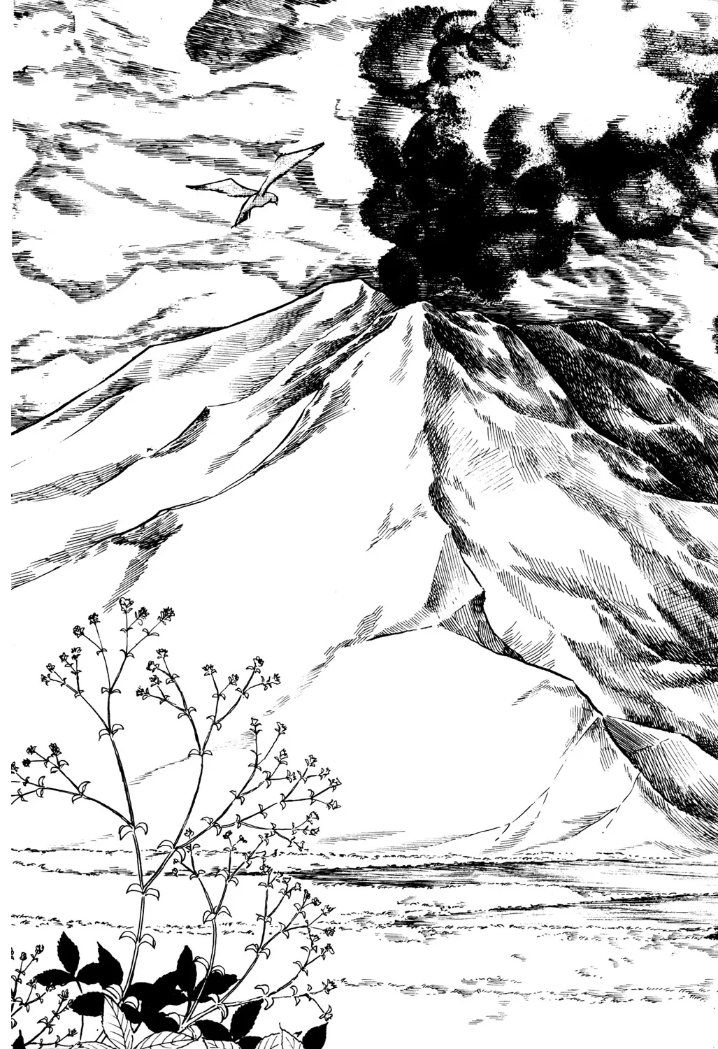 P24