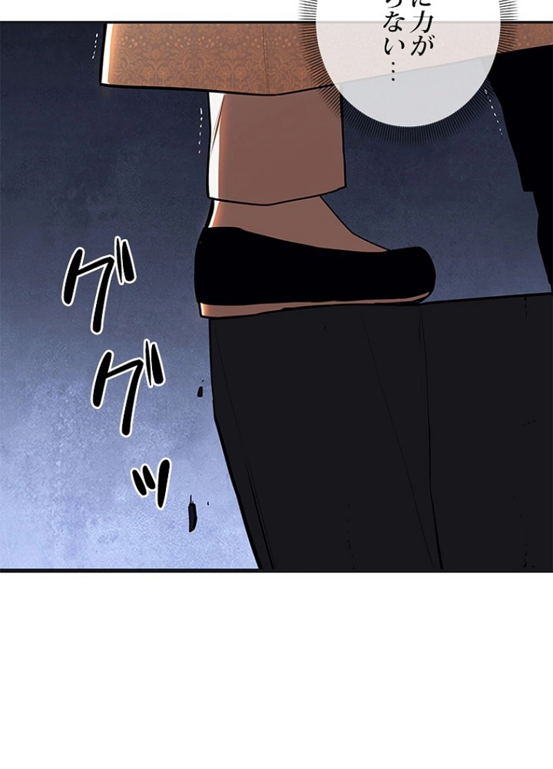 P53