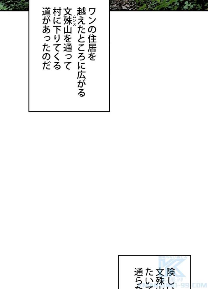 P51