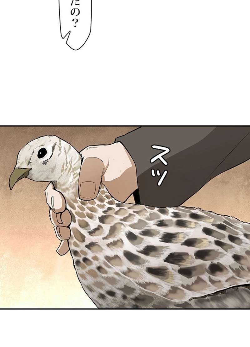 P47