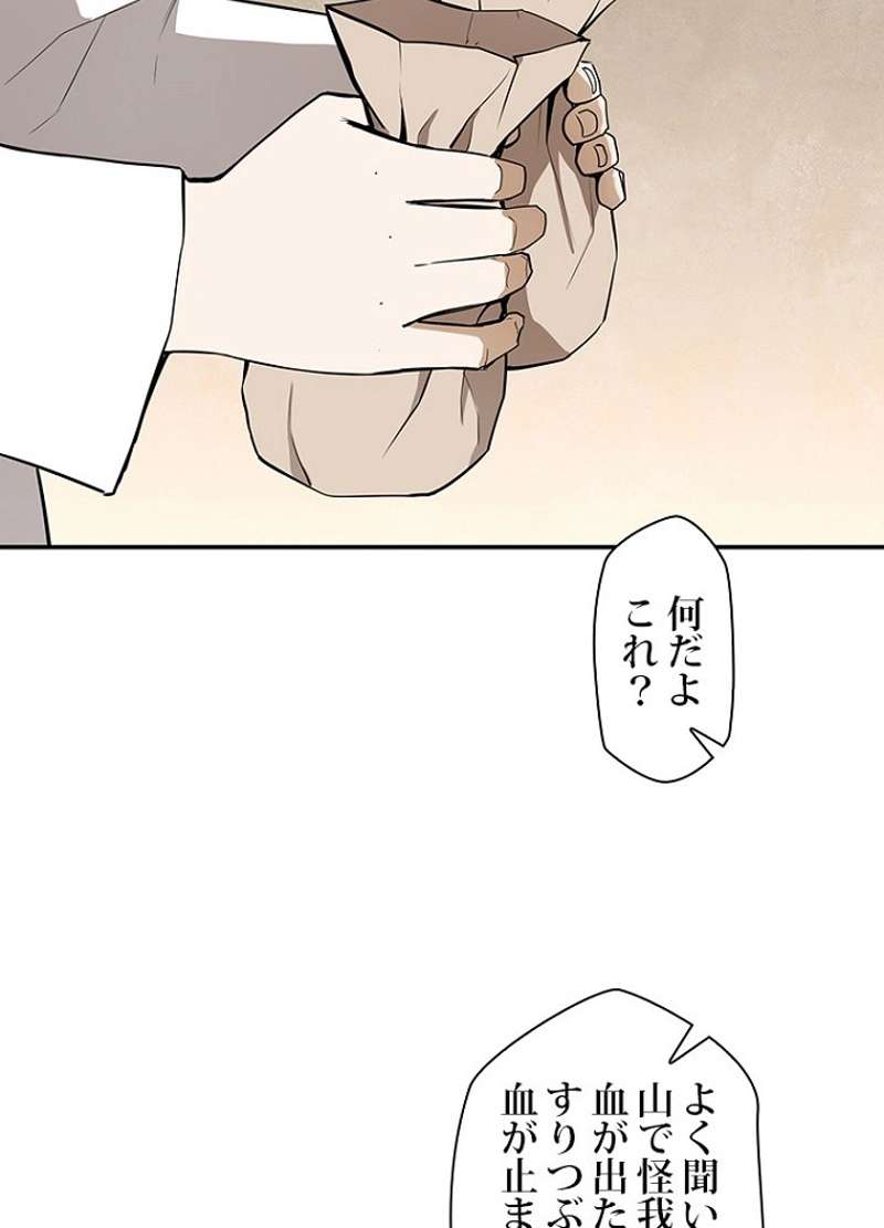 P66