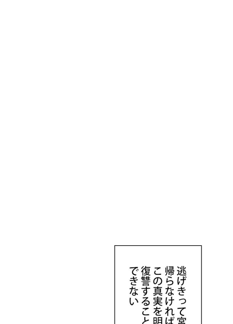 P61