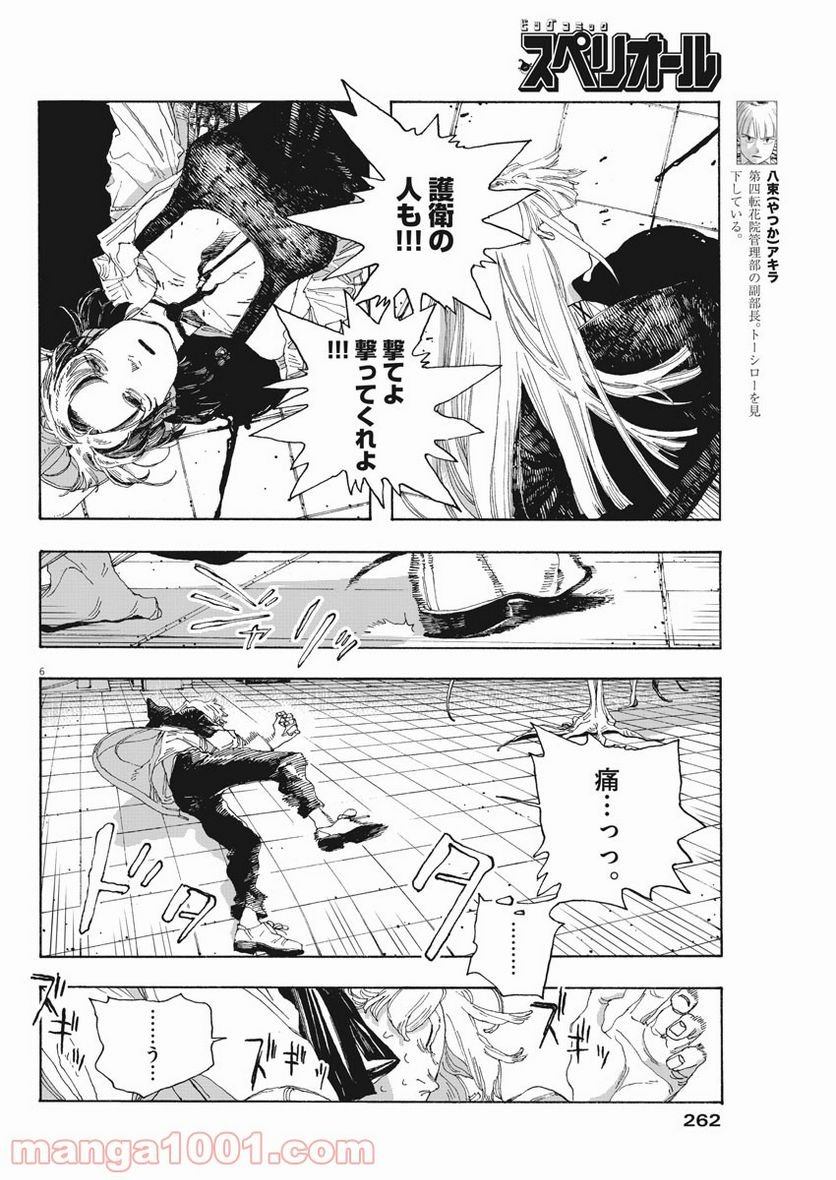 P6