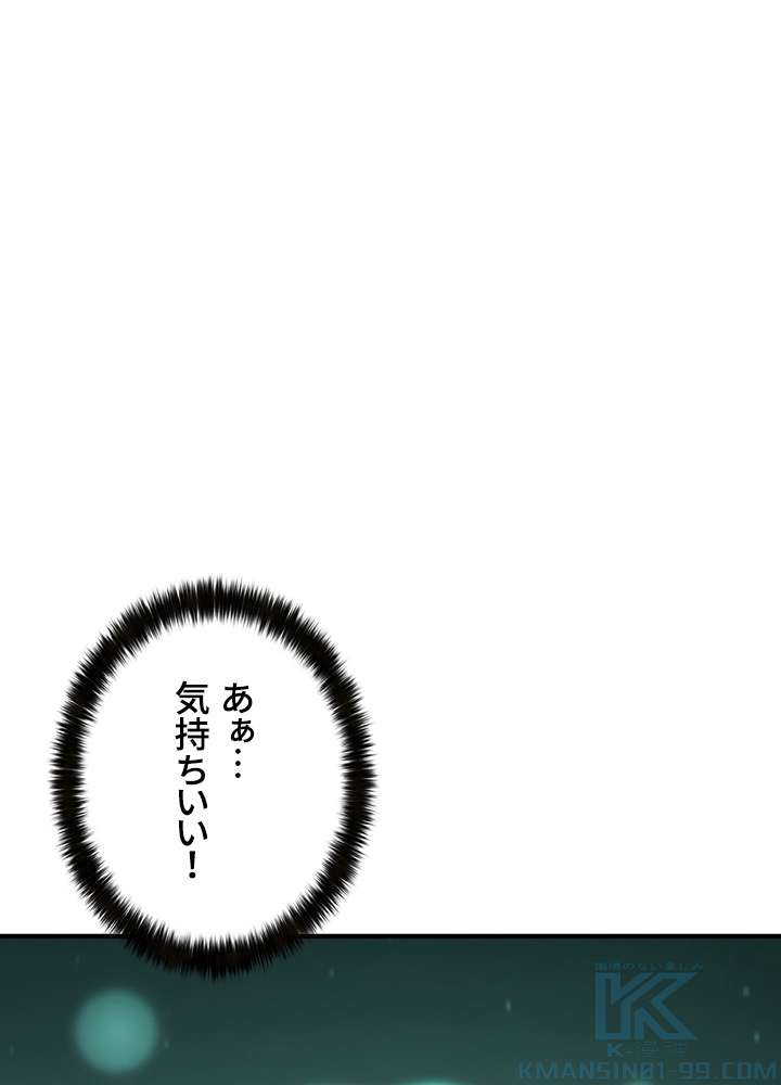 P58